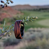 cocobolo ring with carbon fiber sleeve on a branch