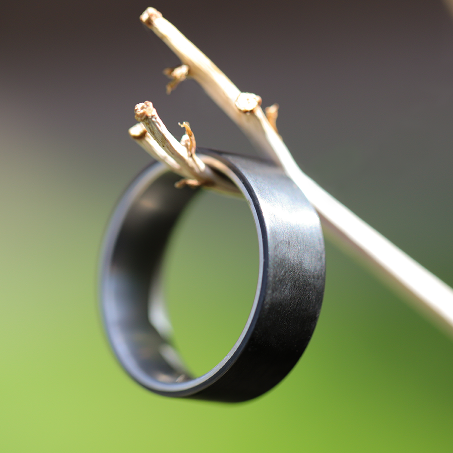 Men's Titanium Wedding Ring with Carbon Fiber Exterior On A Small Branch