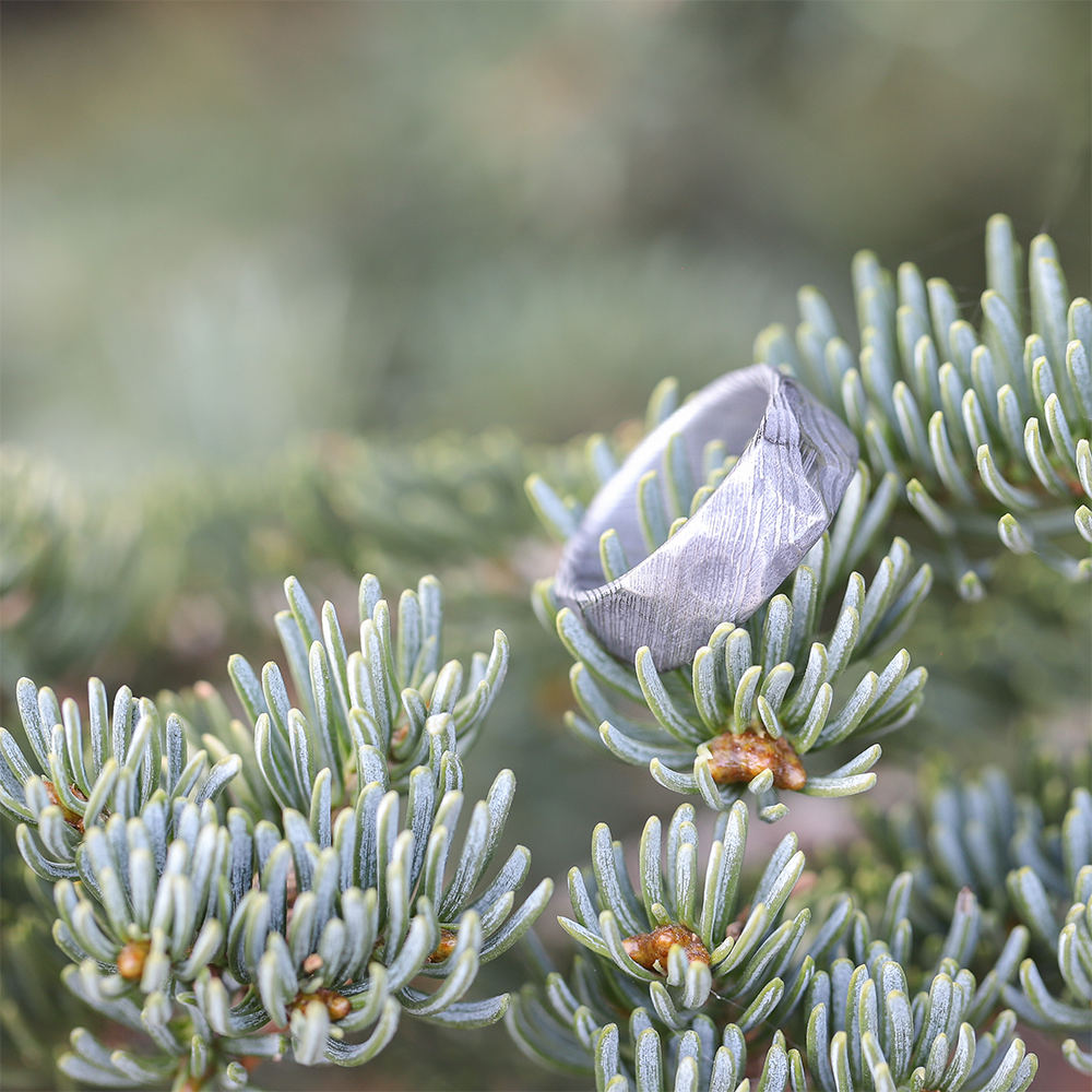 Hammered Damascus Men's Ring In A Pine Tree