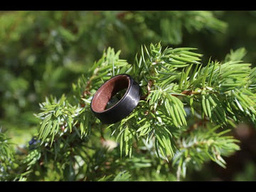 Carbon Fiber Band with Moab Sand Interior Showcase Video